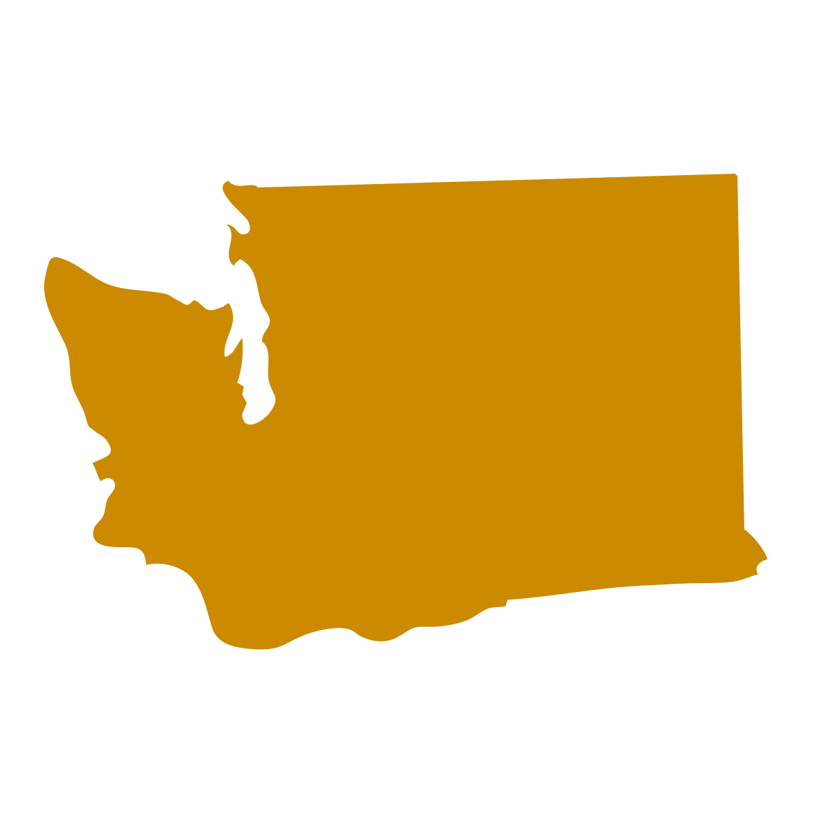 Washington State icon in turmeric