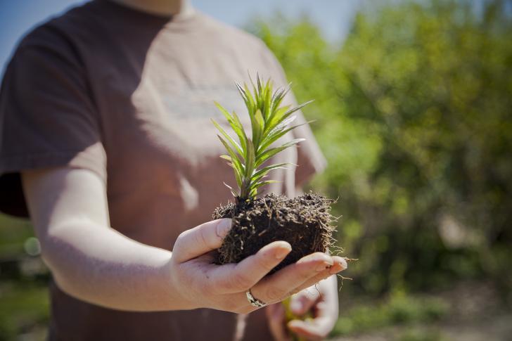 man holding a plant