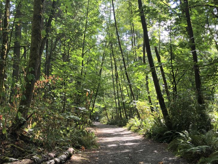 trail at Saint Edward State Park