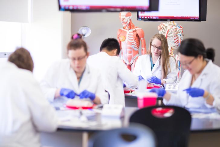 students working in class with lab coats