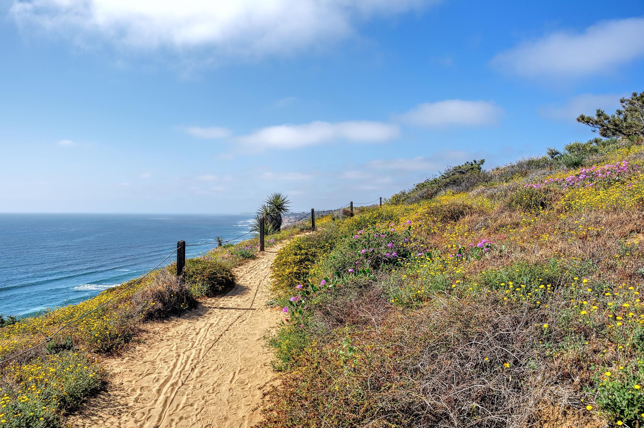 From the trails at Torrey Pines