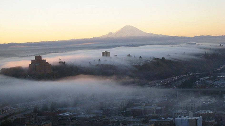 south seattle fog