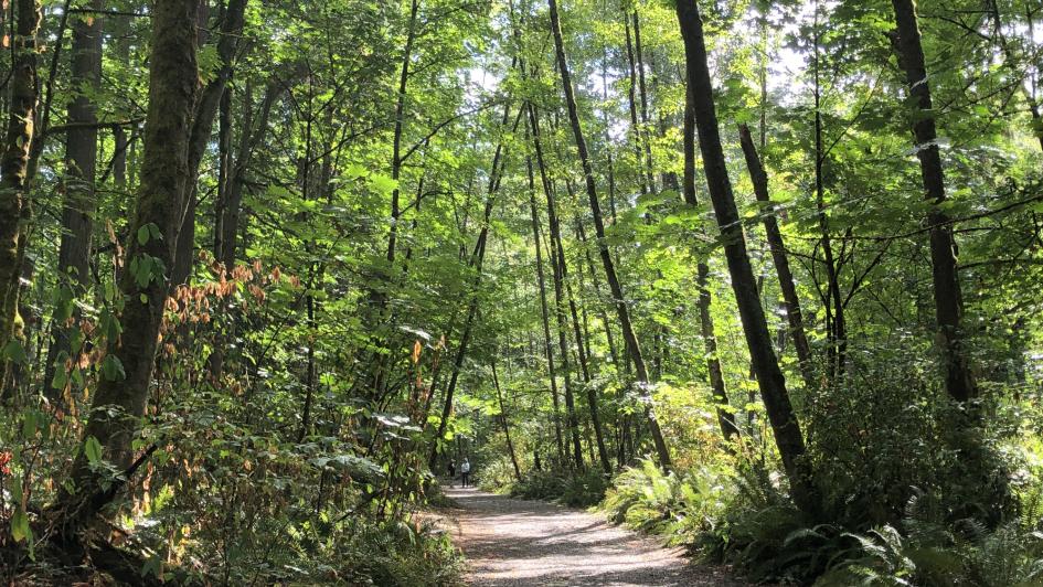 trail at Saint Edward State Park